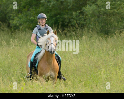 Giovane atleta che indossa un corpo protettore sul dorso di un cavallo Haflinger hacking fuori in estate Foto Stock