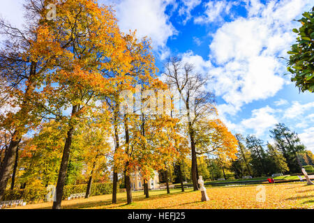 SAINT PETERSBURG, Russia - Ott 12: Il Palazzo di Caterina, Carskoe Selo, Pushkin, San Pietroburgo, Russia il 12 ottobre 2016 Foto Stock