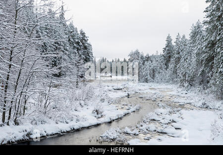 Coperte di neve zona umida, Svezia Foto Stock