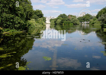 Vista generale prese su una bella giornata d'estate in St James Park, Londra Foto Stock
