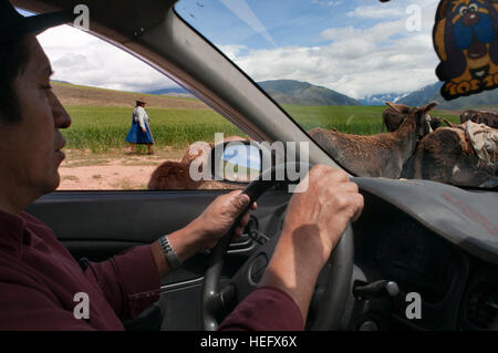 Compagnia dei Taxi locale la guida nella Valle Sacra nei pressi di Cuzco. La Valle Sacra degli Incas o la Valle di Urubamba è una valle delle Ande del Perù, vicino a t Foto Stock