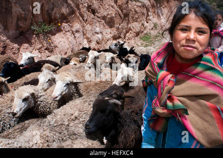 Una ragazza con le pecore nel sito archeologico di Moray in Valle Sacra nei pressi di Cuzco. Moray - è il nome delle rovine Inca vicino alla città di Maras, Foto Stock