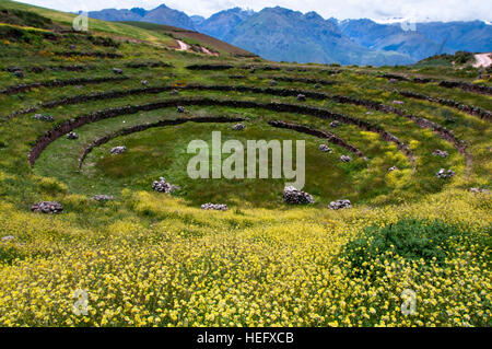 Sito archeologico di Moray in Valle Sacra nei pressi di Cuzco. Moray - è il nome delle rovine Inca vicino alla città di Maras, Perù che si siede sei hundre Foto Stock