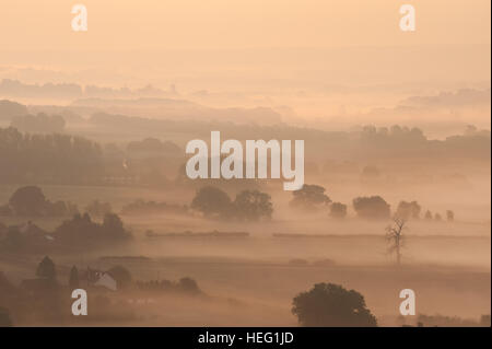 Alba alba sopra la valle Northdowns guardando verso Mereworth boschi Charing colline mist essendo bruciata dal sole nascente autunno Foto Stock