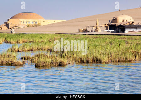 Le zone umide a Sand Lake, Shizuishan, Ningxia, Cina Foto Stock