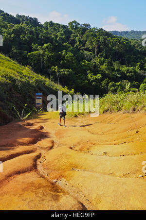 Il Brasile, Stato di Sao Paulo, Ilhabela isola, vista del sentiero che conduce a Bonete. Foto Stock