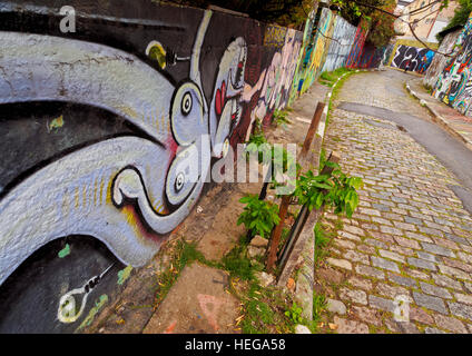 Il Brasile, Stato di Sao Paulo, città di Sao Paulo, Vila Madalena, Graffiti in Beco do Batman. Foto Stock