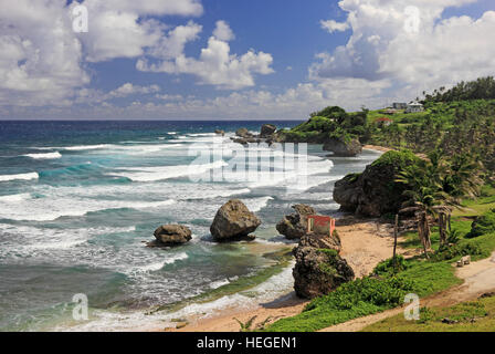 Spiaggia, rocce e onde sulla costa orientale di Barbados Foto Stock