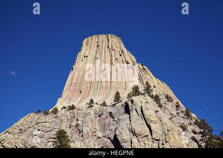 Devils Tower, un laccolith butte composto di roccia ignea al Bear Lodge montagne, top attrazione per lo stato del Wyoming, STATI UNITI D'AMERICA. Foto Stock