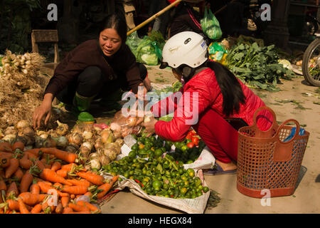 ASIA, Vietnam, Superiore Red River, Ha Tay provincia, Duong Lam, stallo del mercato Foto Stock