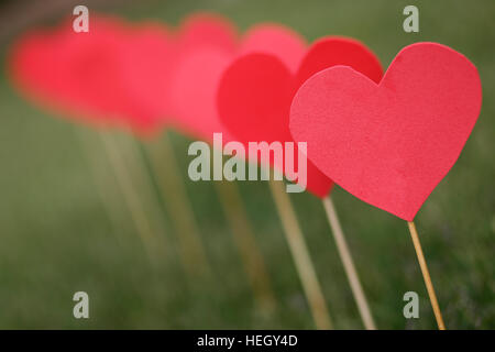 Forma di cuore tagliato e applicato con bastoni sul prato Foto Stock