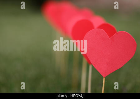 Forma di cuore tagliato e applicato con bastoni sul prato Foto Stock