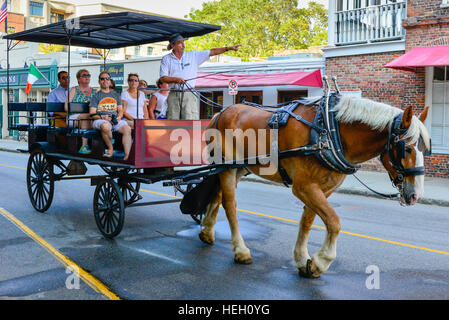 Un bel cavallo marrone tira una in stile vintage trolly lungo con una guida del tour e turisti in giro per il centro storico di Charleston SC Foto Stock