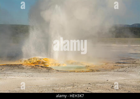 Stati Uniti d'America, USA, Wyoming WY, il Parco Nazionale di Yellowstone, Fontana Paint Pots Trail, lo spasmo geyser di vapore di emissione Foto Stock