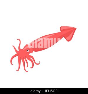 Calamari della Red Color Design piatto. Calamari della red color design piatto. Calamari rosso con tentacoli isolati su sfondo bianco. Illustrazione Vettoriale