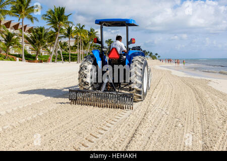 Trattore a rastrellare una spiaggia a Playa Del Carmen, vicino a Cancun, Messico per rimuovere le alghe e spazzatura lavato fino sulla riva. Foto Stock