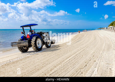 Trattore a rastrellare una spiaggia a Playa Del Carmen, vicino a Cancun, Messico per rimuovere le alghe e spazzatura lavato fino sulla riva. Foto Stock