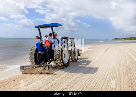 Trattore a rastrellare una spiaggia a Playa Del Carmen, vicino a Cancun, Messico per rimuovere le alghe e spazzatura lavato fino sulla riva. Foto Stock