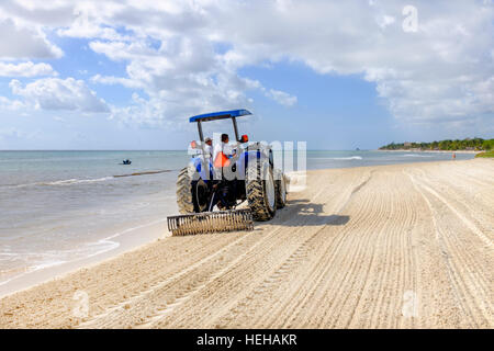 Trattore a rastrellare una spiaggia a Playa Del Carmen, vicino a Cancun, Messico per rimuovere le alghe e spazzatura lavato fino sulla riva. Foto Stock