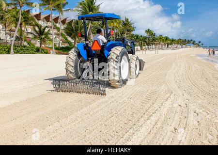 Trattore a rastrellare una spiaggia a Playa Del Carmen, vicino a Cancun, Messico per rimuovere le alghe e spazzatura lavato fino sulla riva. Foto Stock