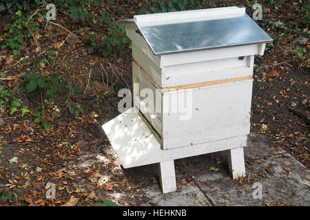 Un alveare in un giardino inglese, Londra Foto Stock