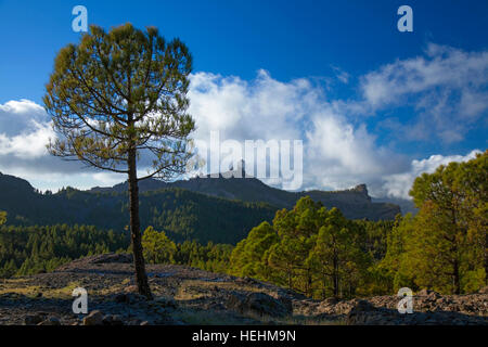Centrale di Gran Canaria, paesaggio protetto del Roque Nublo Foto Stock