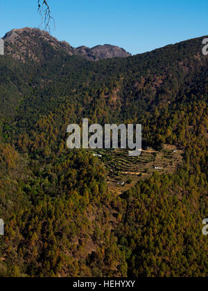 Remoto villaggio circondato dalla foresta sulle colline di Kumaon, Uttarakhand, India Foto Stock