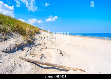 Albero secco tronco sulla spiaggia di sabbia nel villaggio Lubiatowo, Mar Baltico, Polonia Foto Stock