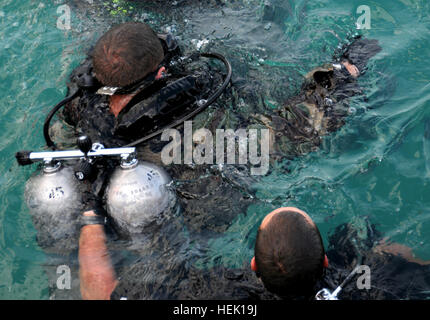 Mentre in acqua se stesso, Sgt. 1. Classe Thomas Talmadge di Portsmouth, Va. riemerge uno studente che ha difficoltà a mantenere la sua spinta di galleggiamento durante la nave di ricerca fondo formazione in Mole fuori del porto di Key West, Fla. durante il combattimento Diver corso di qualificazione su Martedì, 16 marzo 2010. Il CDQC è tenuto presso le Forze Speciali Operazioni subacquee Scuola di Key West, parte dell'U.S. Esercito John F. Kennedy Special Warfare Center e la scuola si trova a Fort Bragg, N.C. Nave Ricerca Fondo formazione 260595 Foto Stock