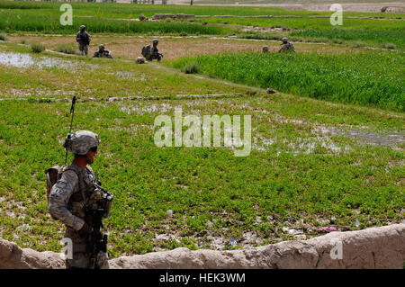 Durante una visita al villaggio di Kwajangur in Afghanistan del distretto Kherwar, con soldati dal 2° plotone, truppa C 1° Stormo, 91º reggimento di cavalleria, 173rd Airborne Brigade Combat Team, truppe dal 2 ° società, 1° Kandak, quarta brigata, esercito nazionale afghano, post la sicurezza durante la loro ricerca di armi Il 6 giugno. Le truppe di ANA ha trovato una mitragliatrice, un AK-47 e munizioni dopo la ricezione dei rapporti degli insorti con armi all'interno del villaggio. ANA trova armi in missione in remoto villaggio 289784 Foto Stock