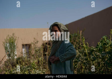 Una ragazza afghana guarda come poliziotti con 2° Battaglione, 3° nazionale afghano di ordine civile di polizia, vigili del soddisfare con la sua famiglia a casa loro nel distretto di Zhari, provincia di Kandahar, Afghanistan, 13 ottobre, 2010. Poliziotti con 2 miliardi di euro. sono abbinate con i membri delle Operazioni Speciali Task Force - Sud per contribuire a rafforzare la sicurezza nel quartiere. Nazionale Afghano di ordine civile polizia potenziano la sicurezza presenza nella provincia di Kandahar 332598 Foto Stock