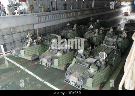 110214-A-2476M-098 MAR DEI CARAIBI (feb. 14, 2011) Marines, operativo assalto anfibio veicoli (AAV) con la cooperazione in materia di sicurezza Task Force (SCTF), prepararsi a sbarcare il dock anfibio sbarco nave USS Gunston Hall (LSD 44) durante l'anfibia del sud della stazione di partenariato 2011 (A-SPS 11). Un-SPS 11 sarà incentrato sul rafforzamento delle attuali partenariati regionali e incoraggiando la creazione di nuove relazioni attraverso lo scambio di argomento. (U.S. Esercito foto di PFC. Lorraine S. Mendoza/RILASCIATO) di AAV si preparano a sbarcare USS Gunston Hall (LSD 44) Foto Stock