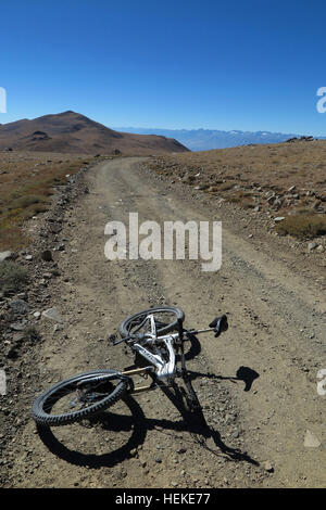 White Mountains, California, Stati Uniti d'America. 23 Sep, 2016. In mountain bike sulla strada di accesso al bianco picco di montagna. Le White Mountains della California e Nevada sono un guasto triangolare-blocco gamma di montagna rivolto verso la Sierra Nevada in tutta la tomaia Owens Valley. La sua casa per le antiche Bristlecone foresta di pini (Pinus longaeva). Il punto più alto della gamma è bianco picco di montagna, che a 14,252 ft (4,344 m), la vetta più alta in Mono County e la terza vetta più alta in California. Questo picco è in realtà un vulcano estinto in aumento di circa 1.600 ft (490 m) al di sopra della superficie di plateau. (Credito Immagine: © Ruarid Foto Stock