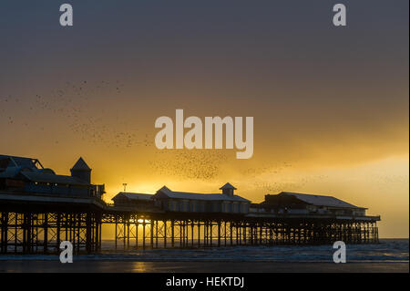 Blackpool, Regno Unito. 23 Dic, 2016. Dopo un wet, ventoso e terribilmente freddo giorno grazie alla "storm Barbara', centinaia di comune eseguire storni murmurations a Blackpool Central Pier come il sole tramonta. ©Andy Gibson/Alamy Live News. Foto Stock