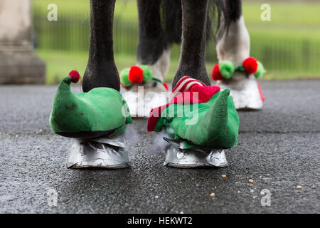 Londra, Regno Unito. 24 dic 2016. Soldati dal re della truppa cavallo Royal Artillery e ai loro cavalli di indossare abiti di Natale, tinsel e cappelli di Babbo Natale come essi cavalcare su il mattino della vigilia di Natale. I soldati hanno lasciato Woolwich Caserme e trotted attraverso il sud est le vie di Londra a Morden College di Blackheath, dove i soldati sono stati accolti con vin brulé e sminuzzato torte. La manifestazione annuale è diventata una nuova tradizione di Natale poiché la truppa KingÕs spostato a scopo caserma costruita a Woolwich nel febbraio 2012. Credito: Vickie Flores/Alamy Live News Foto Stock