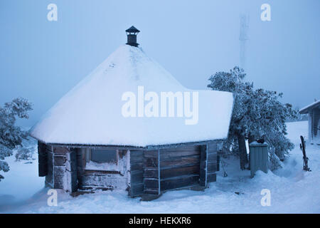 Salla, Finlandia. 24 dicembre, 2016. Temperature si situava attorno a -5 gradi centigradi nella Salla, Finand questa mattina, sabato 24 dicembre. Credito: Chris Stevenson/Alamy Live News Foto Stock