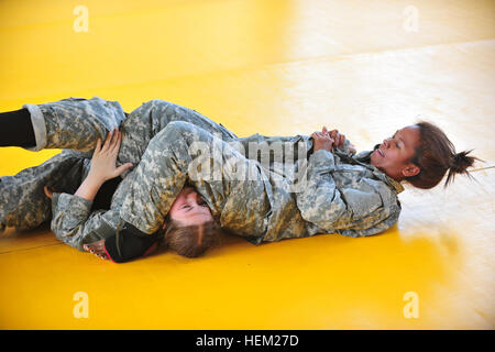 Stati Uniti Soldati con la 101ª Divisione aviotrasportata partecipare ad un U.S. Army Combatives School Mobile Team di formazione di livello 3 Seminario di formazione gen. 31, 2012 a Fort Campbell, Ky. Le quattro settimane di corso incentrato su boxe, kickboxing, wrestling, e tecniche di tattica. (U.S. Esercito foto di magg. Kamil Sztalkoper/RILASCIATO) armbar Combatives (120131-A-ZW716-998) Foto Stock