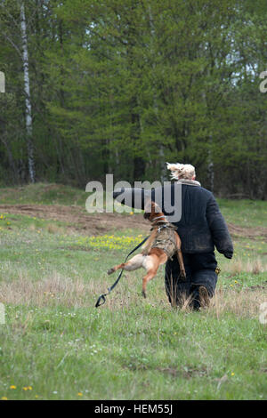 Un membro della Comunità da parte degli Stati Uniti Army Garrison, Stoccarda, corre via come un militare di cane da lavoro le catture e la afferra per il braccio del morso tuta indossa durante un cane da lavoro dimostrazione durante gli Stati Uniti Presidio esercito di Stoccarda dell'esercito di abuso della sostanza guerriero programma sfida la concorrenza nella Panzer Local area formazione a Böblingen, Germania, 13 marzo 2012. I team e i singoli individui sono stati cronometrati al completamento del percorso ad ostacoli. ASAP Warrior orgoglio ostacolo 120427-A-YI962-300 Foto Stock