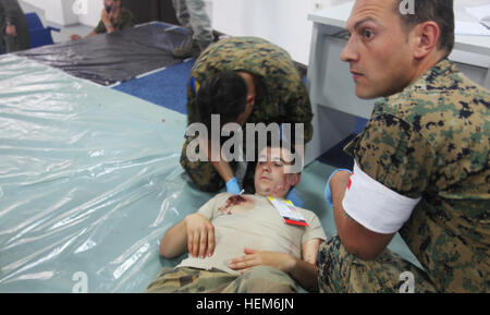 Personale militare e medico di più nazioni partecipano alla formazione Mass Casualty Medical Response in Bosnia ed Erzegovina durante Shared Resilience 2012, un'esercitazione medica congiunta sponsorizzata dagli Stati Uniti. Foto Stock