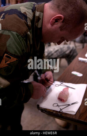 Esercito moldavo Il Mag. Nicolae Caisin, con la Moldava Operazioni Speciali battaglione, pratiche suturare un pregiudizio su un suino il piede, durante un aggiornamento di medici di classe ad Albemarle, N.C., Febbraio 8, 2013. Il Ripasso era una parte del partenariato-costruzione di evento che si è tenuto nel febbraio 7 a 10, tra la Carolina del Nord la Guardia Nazionale delle forze speciali e moldave operazioni speciali di soldati, reso possibile dallo Stato Programma di partnership. (U.S. Esercito foto di Sgt. Lindley Bess/RILASCIATO) NC SPP costruisce relazioni dall'aria 130208-A-XK043-108 Foto Stock