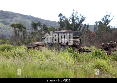 I soldati assegnati al 3° Battaglione, settimo campo del reggimento di artiglieria, 3° Brigata Team di combattimento, XXV divisione di fanteria, traino di un M119A2 105mm obice trainato in posizione durante una società a livello di bracci combinata live-fire esercizio 13 maggio 2013, a Schofield caserma, Hawaii. L'esercizio si sviluppa i leader e i membri del servizio con il pensiero critico e abilità tattica, pur rimanendo pronti a sostenere l'Esercito in missione nel Pacifico. (U.S. Esercito foto di Sgt. Brian C. Erickson/RILASCIATO) Bronco Rumble 130513-A-CJ175-115 Foto Stock