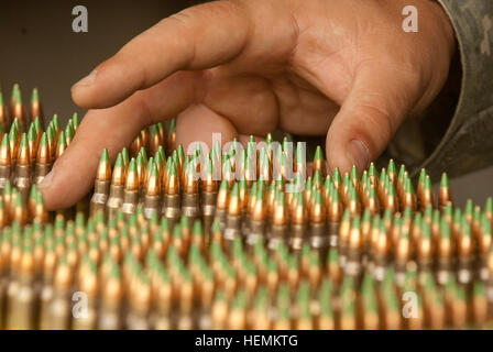 "Le munizioni' attende di essere caricato in riviste per la M4 qualifica round su serie 31A in corrispondenza del 2013 riserva di esercito guerriero migliore concorrenza, Fort McCoy, Wis., Giugno 26. I concorrenti sono segnati sulla loro accuratezza e il numero di visite sulla 'pop-up' intervallo di cottura ed è parte di numerosi eventi durante i sei giorni di gara. (Foto di Sgt. 1. Classe Scott D. Turner, Esercito usa il comando di riserva degli affari pubblici) 2013 riserva di esercito guerriero migliore concorrenza 130626-un-PO705-253 Foto Stock