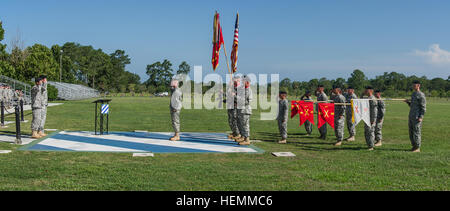 Multi-comandanti echelon assegnati al 2° Brigata corazzate contro la squadra, e il primo battaglione, nono campo reggimento di artiglieria, salutare la bandiera americana durante l'inno nazionale ad una modifica del comando cerimonia al Fort Stewart, Ga., luglio 17, 2013. (U.S. Esercito foto di Sgt. Richard Wrigley/RILASCIATO) qualcuno di nuovo prende il trono del re di battaglia 130717-A-CW513-287 Foto Stock