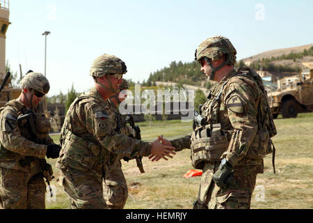 Stati Uniti Esercito Lt. Col. Contrassegnare Huhtanen, destra, vice comandante di brigata del 2° Brigata Team di combattimento, 1° Divisione di cavalleria saluta il Brig. Gen. James Blackburn, il vice comandante dell'U.S. Esercito il corpo 3 e la forza internazionale di assistenza alla sicurezza in Stati Uniti Consolato Herat, provincia di Herat, Afghanistan, Sett. 24, 2013. Società Delta, 1° Battaglione, quinto reggimento di cavalleria, 2° Brigata Team di combattimento, 1° Divisione di cavalleria condotto una ri-arruolamento cerimonia per cinque soldati degli Stati Uniti presso il consolato degli Stati Uniti. (U.S. Esercito foto di Spc. Ryan D. verde/RILASCIATO) Delta Company, 1-5 Cavalleria re-arruolamento cerimonia presso di noi Foto Stock