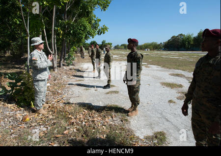 Stati Uniti Esercito Sgt Master. Anthony sour, una forza di protezione noncommissioned officer dal 1° Divisione dell esercito West, Denver, Colorado, sinistra, guida i soldati della Repubblica Dominicana esercito in una linea di albero all'inizio di un personale esercizio di recupero durante una forza di protezione/ripristino di personale esperto in materia di exchange a la quinta brigata di fanteria sede a Barahona, Repubblica Dominicana, 12 marzo 2014. I soldati dominicani assisterà in vigore protezione durante il prossimo al di là dell'orizzonte esercizio che si terrà qui a Barahona da aprile a giugno 2014. BTH è un annuale Foto Stock