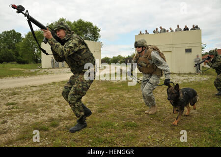 Il Segretario dell'U.S. Esercito, John M. McHugh, visite con soldati provenienti da 15 NATO e partner europeo unite durante l esercizio fisico combinato risolvere II a Hohenfels Area Formazione, Germania, 17 maggio 2014. Combinate risolvere II è un U.S. Esercito Europa-diretto esercizio multinazionale a Grafenwoehr Hohenfels e le aree di formazione, compresi più di 4.000 partecipanti. (U.S. Esercito foto di Visual Information Specialist Markus Rauchenberger/RILASCIATO) segretario dell'esercito americano John M. McHugh visite combinate risolvere II 140517-A-BS310-548 Foto Stock