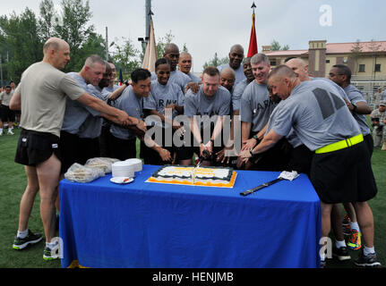 Stati Uniti Esercito Brig. Gen. Stephen Farmen, il comandante generale del XIX comando Expeditionary, tagli un pezzo di torta nella celebrazione dell'U.S. Dell'esercito 239th compleanno, dopo aver condotto più di 800 soldati in una esecuzione celebrativa presso il Camp Carroll, Corea del Sud, 13 giugno 2014. (U.S. Esercito foto di Sgt. 1. Classe Josh Edson/RILASCIATO)...... Stati Uniti Esercito Brig. Gen. Stephen Farmen, il comandante generale del XIX comando Expeditionary, tagli un pezzo di torta nella celebrazione dell'U.S. Dell'esercito 239th compleanno, dopo aver condotto più di 800 soldati in un 140613 celebrativo-A-NY467-003 Foto Stock