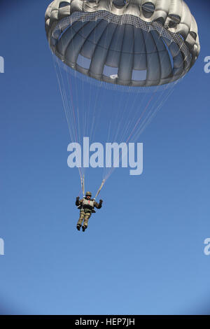 Un paracadutista tedesco scende oltre il Plantation Airpark in Sylvania, Ga., durante le operazioni di volo, 20 marzo 2015. Funzionamento Skyfall è un misto di combattimento multilaterale telecamera oggetto di scambio di esperti, ospitato da combattimento 982nd fotocamera Company, che avviene in corrispondenza di diverse posizioni in Georgia. Funzionamento Skyfall è un evento che si concentra sull'interoperabilità di combattere la formazione della telecamera e la cattura di airborne operazioni con tre nazioni partner e multi-unità di assistenza. (U.S. Esercito Foto di PFC. Jessica Hurst/RILASCIATO) Funzionamento Skyfall 2015 150320-A-A882-108 Foto Stock