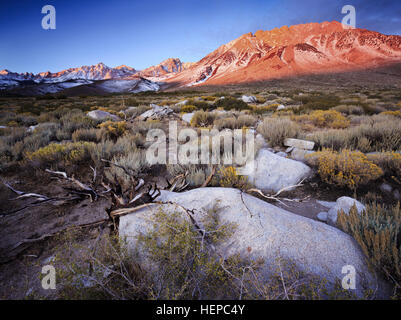 Latticello Hill nel Vescovo California Foto Stock