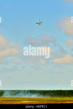 Un aereo A-10 del 104th Fighter Squadron della Maryland Air National Guard, 175th Wing, fuori dalla Warfield Air National Guard base, Maryland, conduce una missione di supporto aereo ravvicinato durante il Saber Strike 2015 ad Adazi, Lettonia, il 6 giugno. Gli aviatori statunitensi e il personale militare schierato in tutta Europa partecipano a questa esercitazione di addestramento cooperativo per migliorare la capacità operativa congiunta con le nazioni alleate. Foto Stock